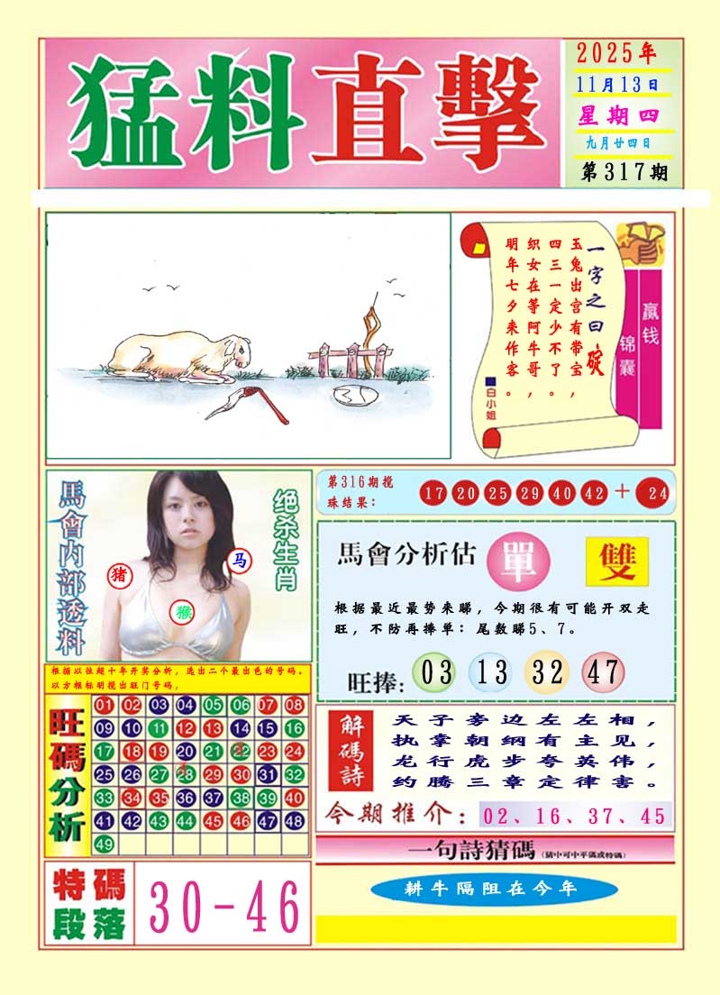 317期猛料直击A[图]