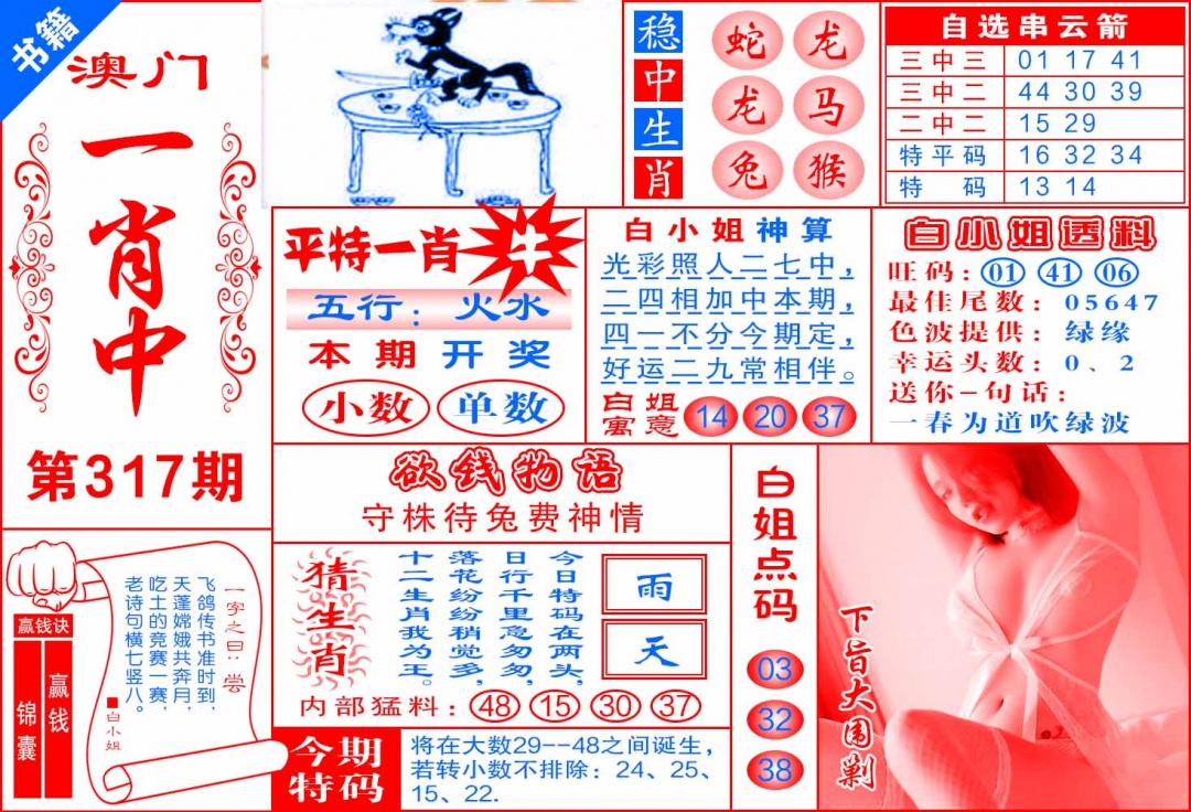 317期澳门锦囊宝典[图]