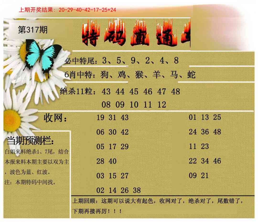 317期特码直通车[图]