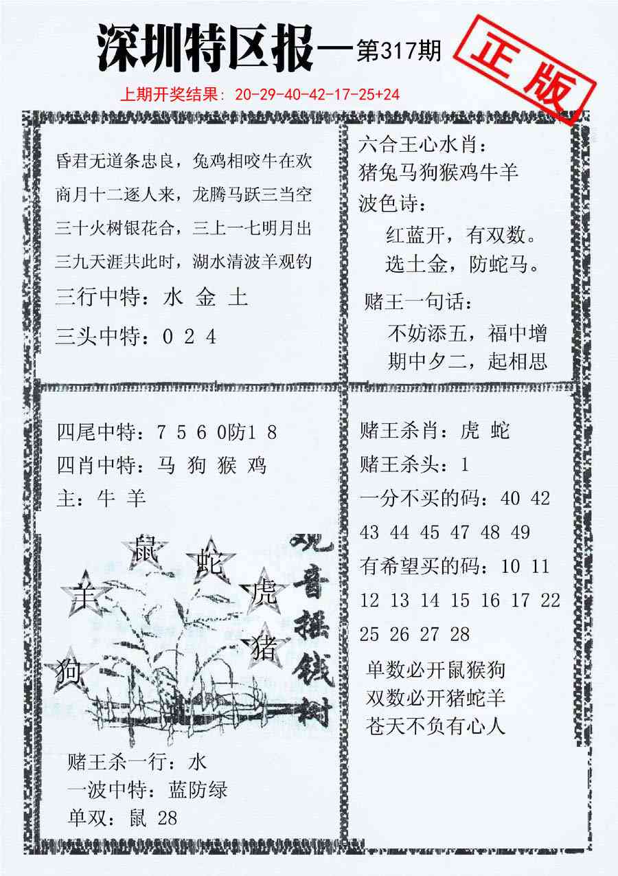 317期深圳特区报A[图]